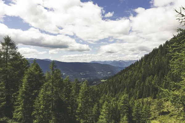 Tiro de alto ângulo de uma bela floresta de árvore verde sob o céu nublado — Fotografia de Stock