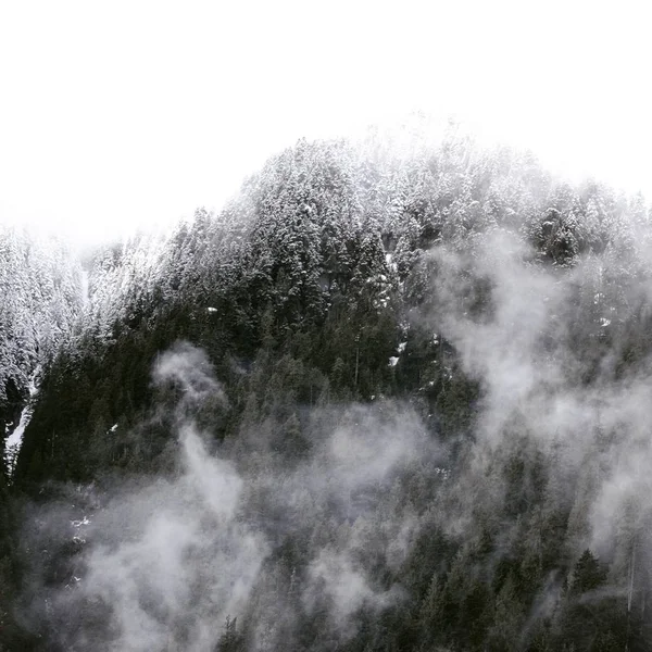 Foto en ángulo bajo de una montaña llena de árboles cubiertos de nieve durante un clima nebuloso — Foto de Stock