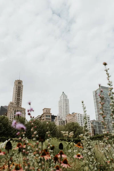 Vertikální záběr travnatého pole plného květin v Chicagu s mrakodrapy viditelnými v dálce — Stock fotografie