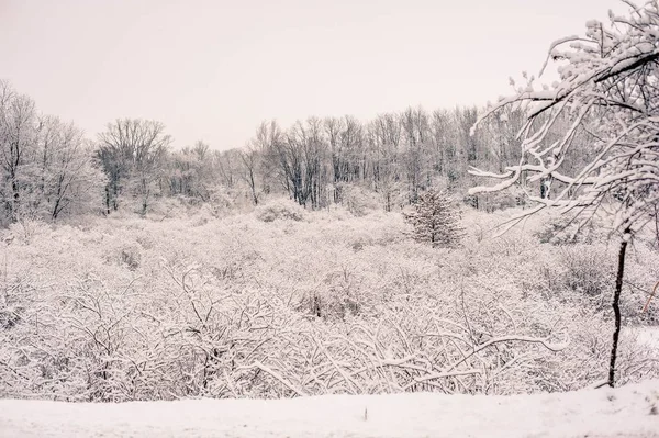 Krásná scenérie zasněženého pole na venkově Pensylvánie — Stock fotografie