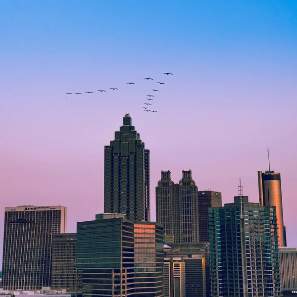 飛行鳥と美しい紫色の空の下でアトランタの高層ビルの広いショット — ストック写真