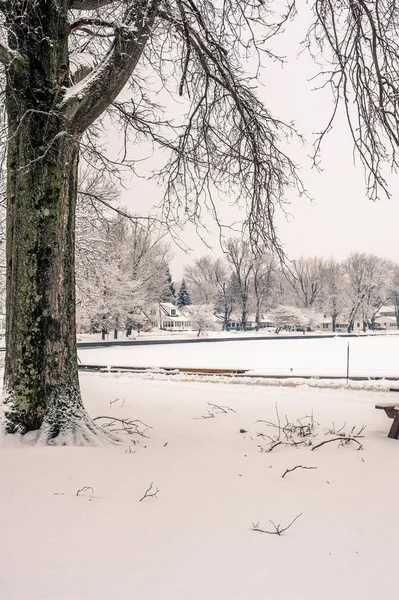 Vacker natur i det snöiga fältet på landsbygden i Pennsylvania — Stockfoto