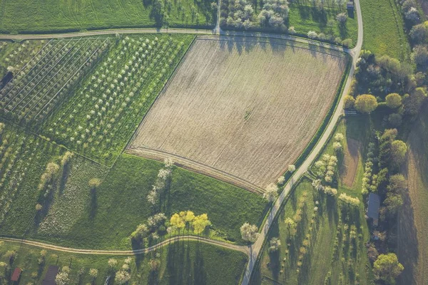 Colpo aereo di campo erboso con alberi e sentieri nel mezzo durante il giorno — Foto Stock