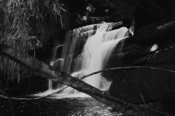 Graustufenfotografie eines stark fließenden Wasserfalls im Wald — Stockfoto