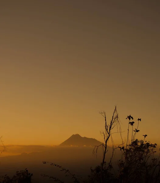 Schöne Silhouette einer trockenen Pflanze mit dem Hintergrund eines hohen Berges bei Sonnenuntergang — Stockfoto