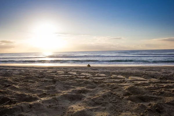Plan large d'une personne assise sur la plage profitant de la mer au coucher du soleil sous le beau ciel — Photo