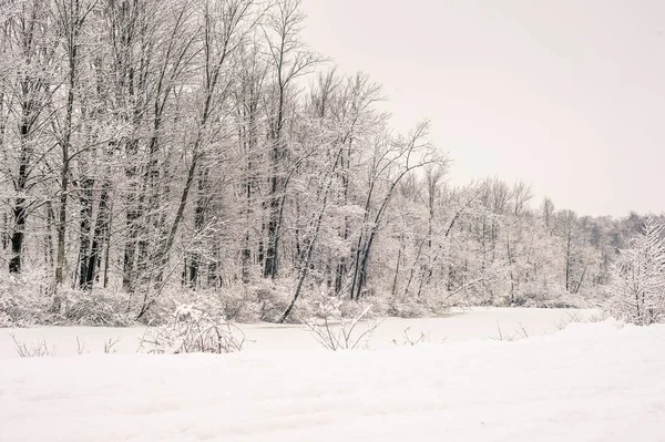 Krásná scenérie zasněženého pole na venkově Pensylvánie — Stock fotografie