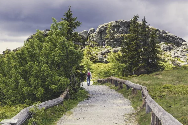 Paisaje Una Hermosa Montaña Rocosa Verde Rodeada Árboles Dos Amigos —  Fotos de Stock