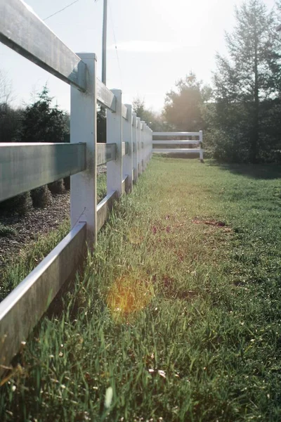Вертикальний знімок сірих дерев'яних парканів у травоподібному полі вдень — стокове фото