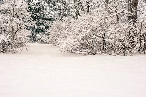 Den Vackra Naturen Det Snöiga Fältet Landsbygden Pennsylvania — Stockfoto