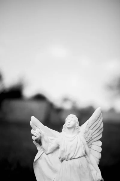 Függőleges felvétel egy homályos hátterű angyalszoborról fekete-fehérben — Stock Fotó