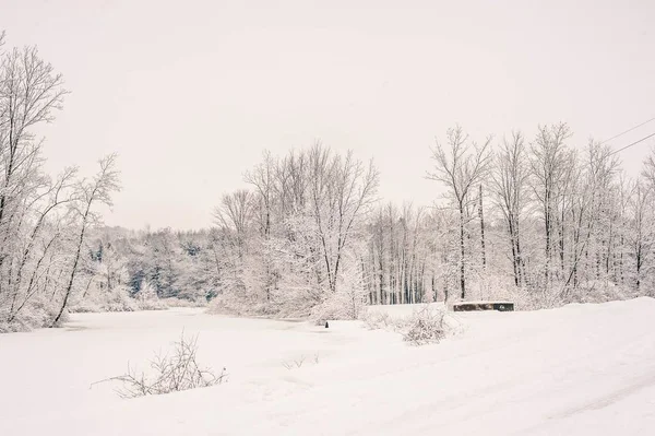펜실베이니아의 눈덮인 시골 풍경의 아름다운 사진 — 스톡 사진