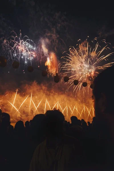 Disparo vertical de fuegos artificiales por la noche para una celebración especial del día —  Fotos de Stock