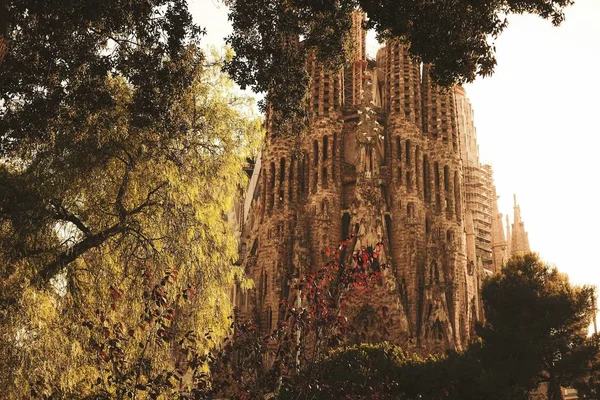 Low angle shot of Expiatory Temple of the Holy Family surrounded by colorful trees during daytime — 스톡 사진