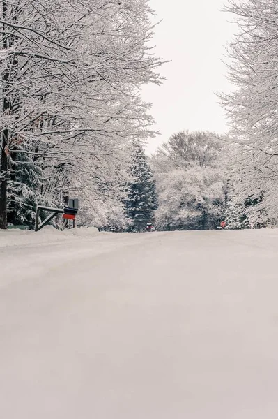 Bellissimo scatto dello straordinario scenario della campagna innevata della Pennsylvania — Foto Stock