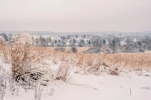 Schöne Aufnahme der atemberaubenden Landschaft der schneebedeckten Landschaft in Pennsylvania — Stockfoto