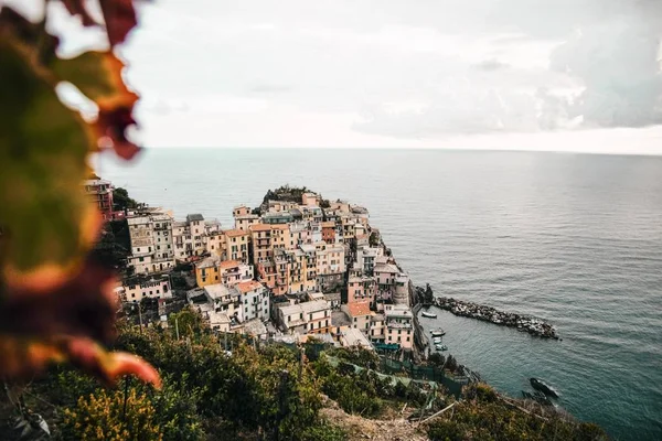 Tiro aéreo de edifícios altos cercados por árvores verdes perto do oceano em Manarola, Itália — Fotografia de Stock