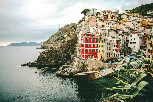 Wide shot of assorted-color buildings on the hill near the body of water in Manarola, Italy — 스톡 사진