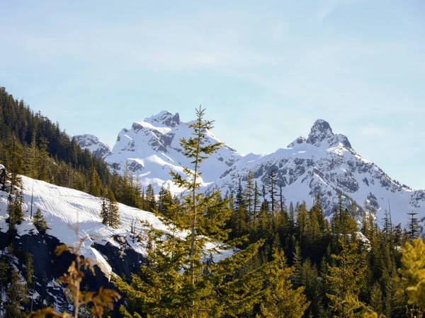 Yeşil çam ağaçlarıyla kaplı karlı dağların manzara görüntüsü — Stok fotoğraf