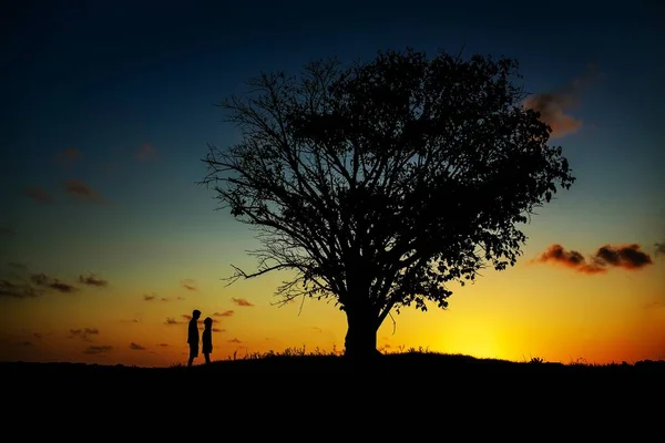 Paysage d'un arbre dans un champ avec deux personnes debout près de lui en silhouette pendant le coucher du soleil — Photo