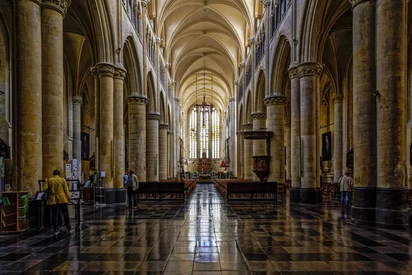 Tongeren, Belçika 'daki Eski Katedral' in ya da Meryem Ana 'nın Bazilikası' nın güzel iç çekimi. — Stok fotoğraf