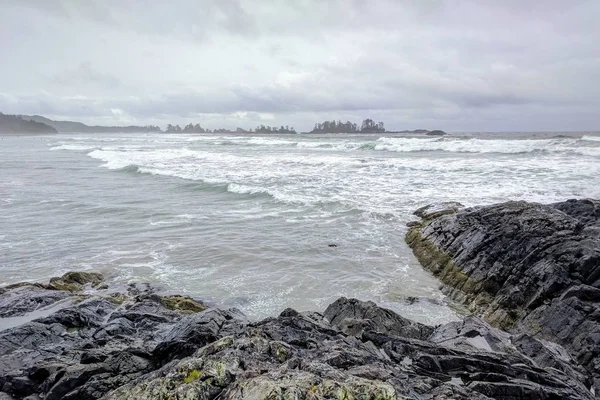 Landschaftsaufnahme eines felsigen Strandes bei Bewölkung mit Bäumen im Hintergrund — Stockfoto