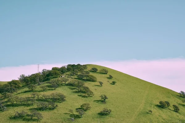 Colpo largo di una collina coperta di erba verde e piante sotto un cielo limpido — Foto Stock