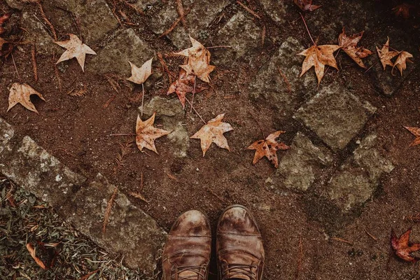 Крупный план грязной дороги с опавшими листьями и коричневыми ботинками. — стоковое фото