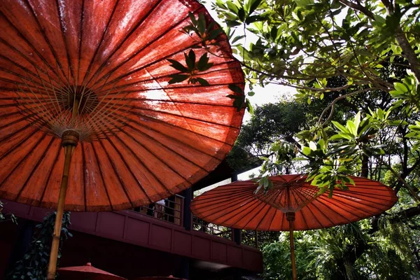 Angled colpo di due ombrelli asiatici rossi come l'obiettivo principale — Foto Stock