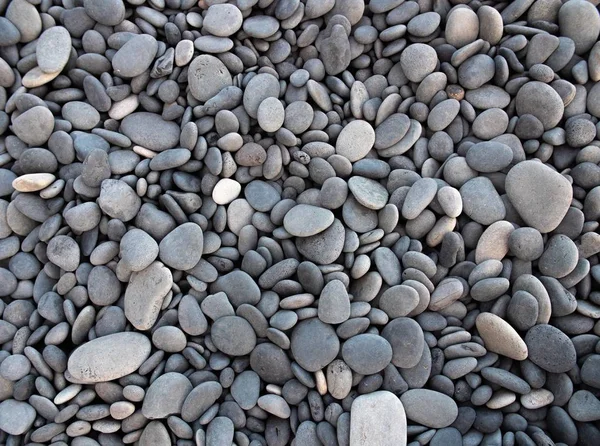 Gros plan de petits cailloux gris sur une plage — Photo