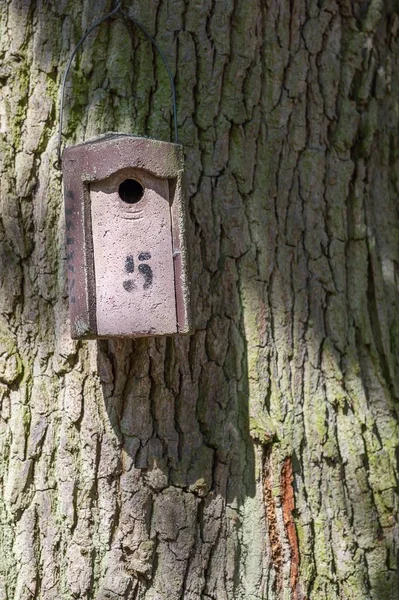 Plan vertical d'un nichoir en bois sur un tronc d'arbre — Photo