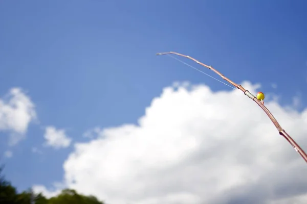 Selektive Fokusaufnahme einer Angelrute mit dem daran befestigten Schwimmer, blauer Himmel im Hintergrund — Stockfoto