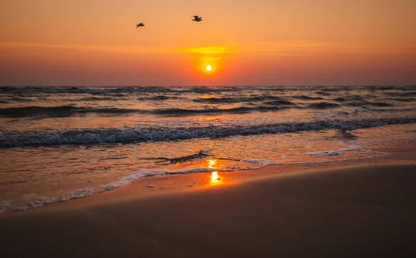 Beautiful horizontal shot of the wavy sea during the sunset under the colorful sky — Stock Photo, Image