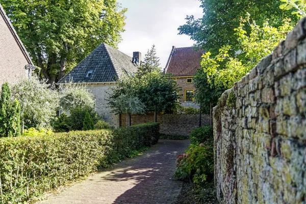 Mooie brede opname van bakstenen huizen omringd met groene bomen en planten overdag — Stockfoto