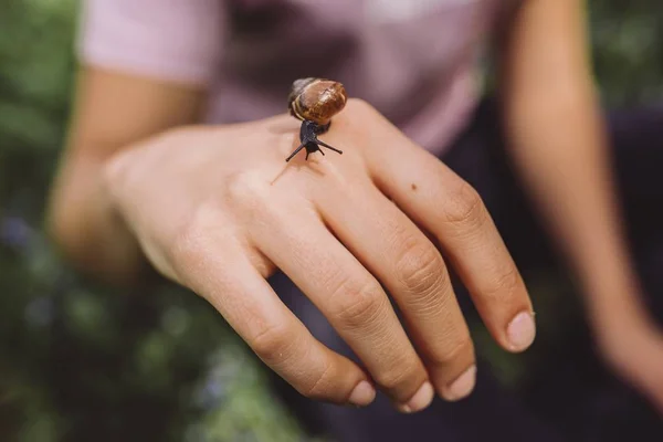 Tiro de close-up seletivo de uma fêmea com uma camisa roxa segurando uma joaninha com um fundo borrado — Fotografia de Stock