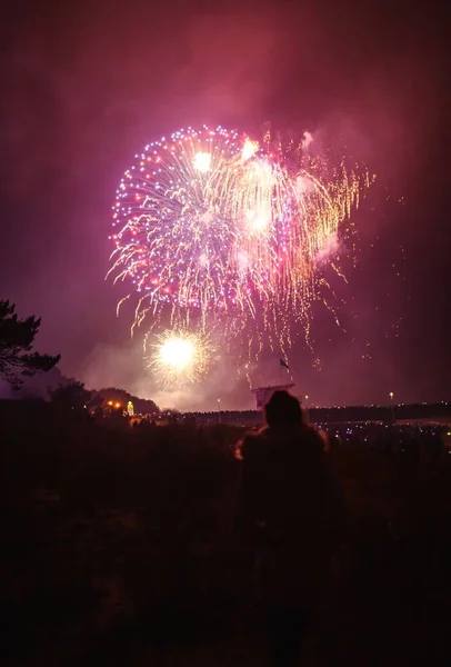 Disparo de bajo ángulo de hermosos fuegos artificiales para una gran celebración en la noche —  Fotos de Stock