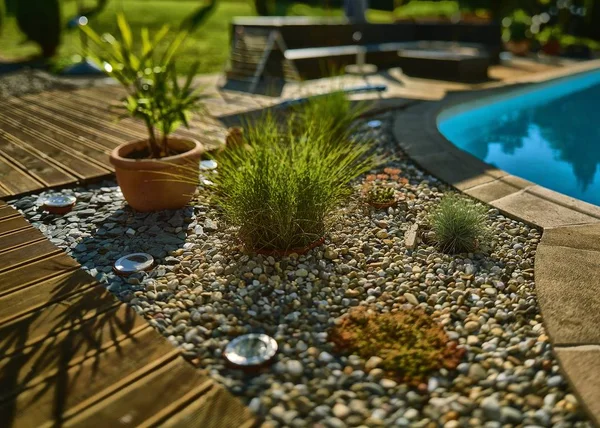 Close shot of plants near a pool with a blurred background — Stock Photo, Image