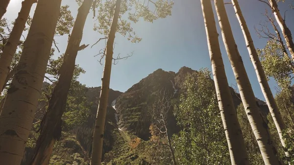 Güneşli bir günde yeşil ağaçlarla çevrili yüksek kayalık bir tepenin alçak açılı görüntüsü. — Stok fotoğraf