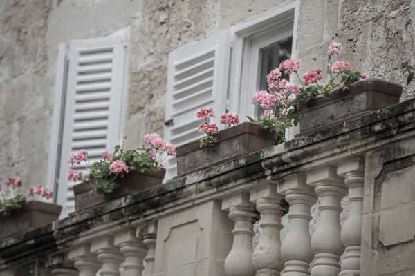 Tiro seletivo de flores rosa em potes em uma varanda de uma casa com paredes de pedra e janelas brancas — Fotografia de Stock