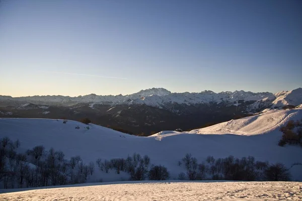 Beautiful shot of snowy mountains with trees under a clear blue sky at daytime — Stock Photo, Image