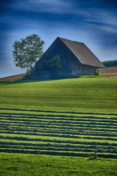 Vertical shot of a building on the grassy hill near a tree under a blue sky at daytime — Stock Photo, Image