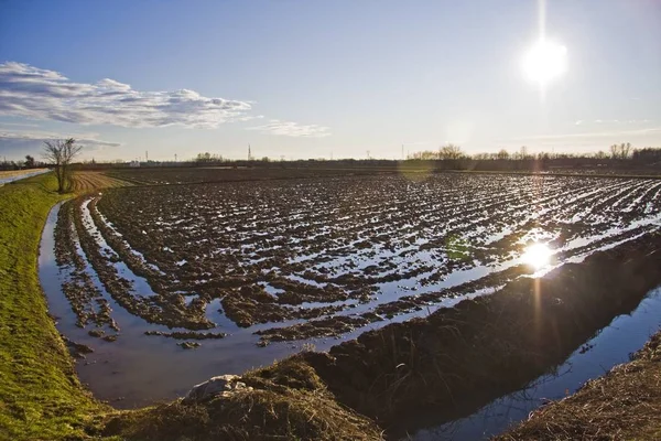 Alto ángulo de tiro de un campo fangoso con agua bajo un cielo azul durante el día —  Fotos de Stock