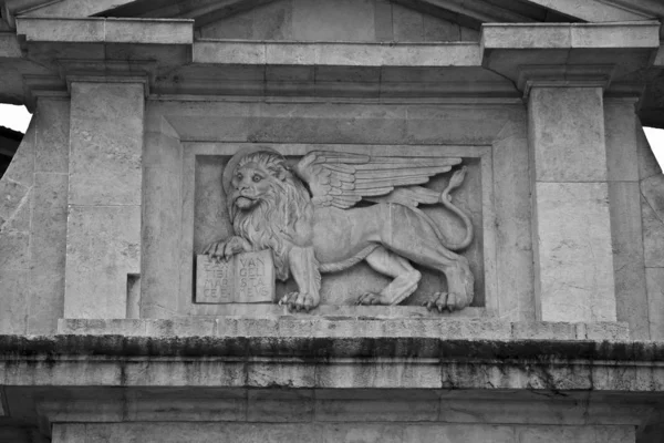 Blízký záběr na stěnu se lví sochou v černé a bílé — Stock fotografie