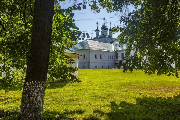 Чудовий постріл з монастиря на трав "яному полі вдень у місті Александрові (Росія). — стокове фото