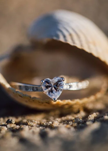 Gros plan sélectif d'une belle bague argentée sur la coquille pendant la journée — Photo