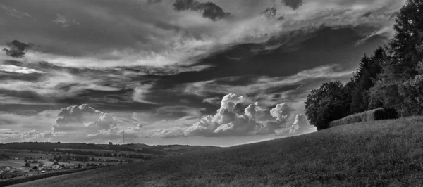 Vue large d'une colline herbeuse avec des arbres sous un ciel nuageux en noir et blanc — Photo