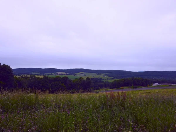 Hermosa toma horizontal del campo verde y las tierras bajas bajo el cielo azul claro — Foto de Stock