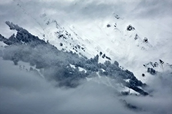 美丽的雪山，云中有树 — 图库照片