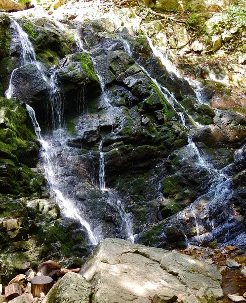 Colpo verticale di una cascata con rocce nella foresta durante il giorno — Foto Stock