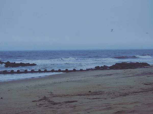 Horizontální záběr na prázdnou pláž a bláznivé vlnité moře s letícími ptáky v časných ranních hodinách — Stock fotografie